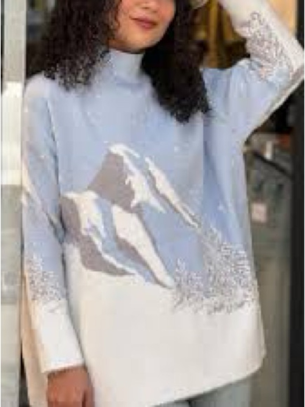 Rachel Zoe Winter Mountain Mock Neck Sweater Women’s Large Blue Snowy Landscape